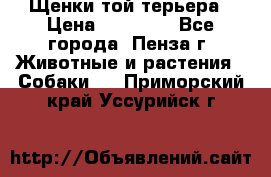 Щенки той терьера › Цена ­ 10 000 - Все города, Пенза г. Животные и растения » Собаки   . Приморский край,Уссурийск г.